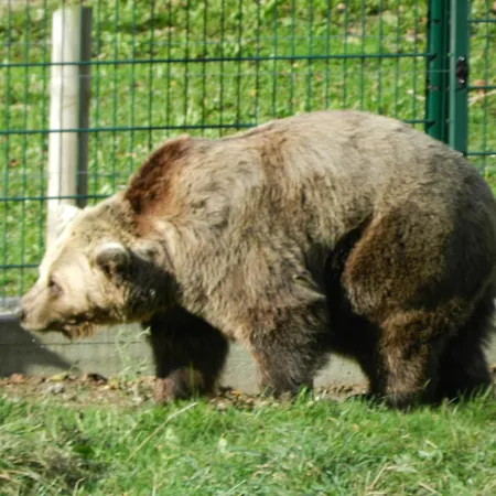 فندق Torrepalacio 2*