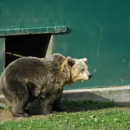 Torrepalacio فندق