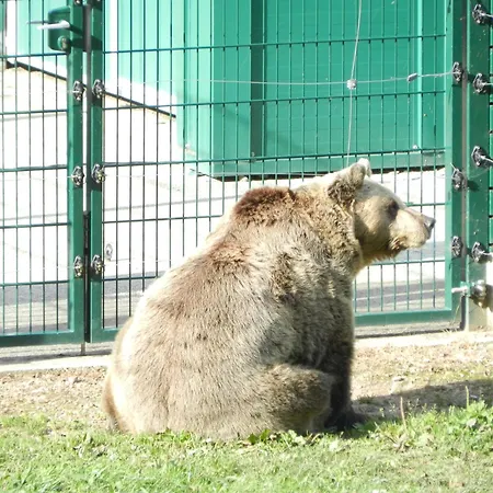 Torrepalacio فندق 2*