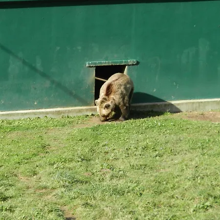 Torrepalacio فندق