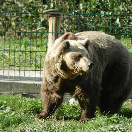 Torrepalacio 2* برواثا