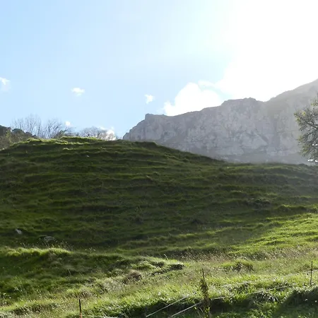 فندق Torrepalacio برواثا