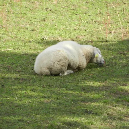 Torrepalacio 2* برواثا