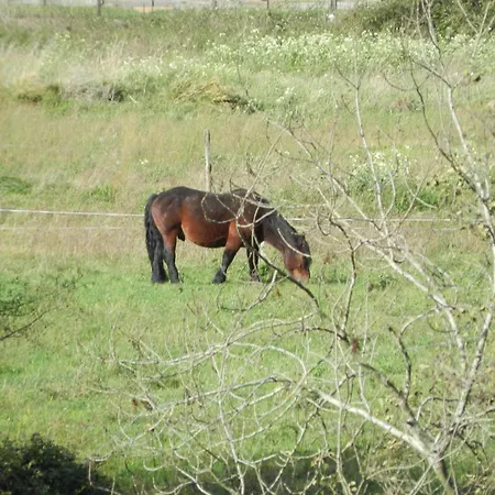 Torrepalacio فندق