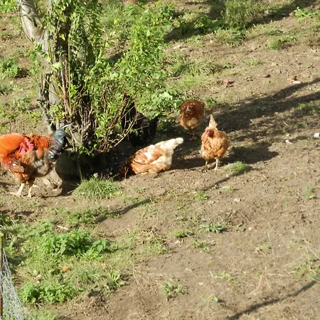 Torrepalacio فندق