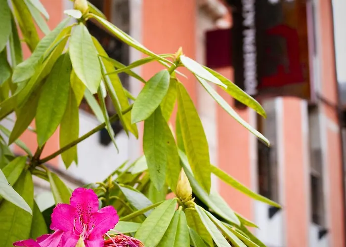 Torrepalacio Hotel 2*