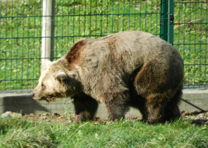 Szálloda Torrepalacio 2*