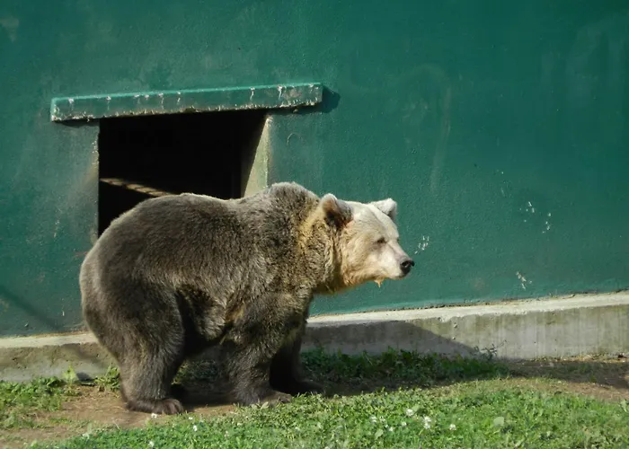 Torrepalacio Szálloda