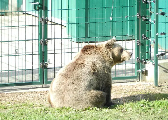 Torrepalacio Szálloda 2*