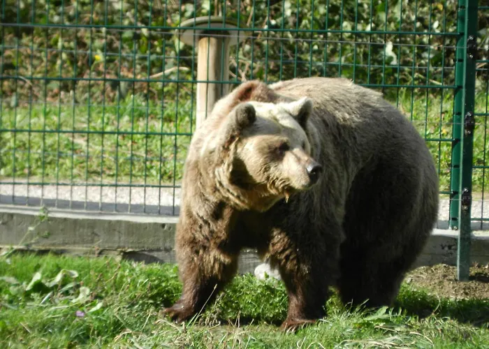 Torrepalacio 2* Proaza