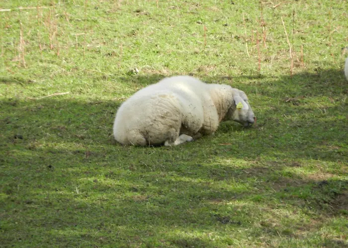 Torrepalacio 2* Proaza