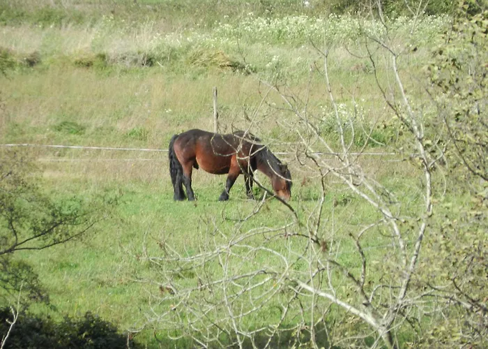 Torrepalacio Szálloda