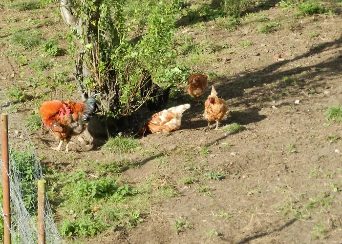 Torrepalacio Szálloda